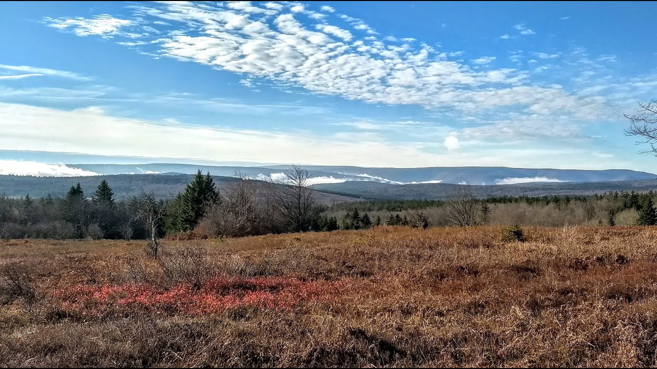 Hike in Dolly Sods Wilderness, West Virginia