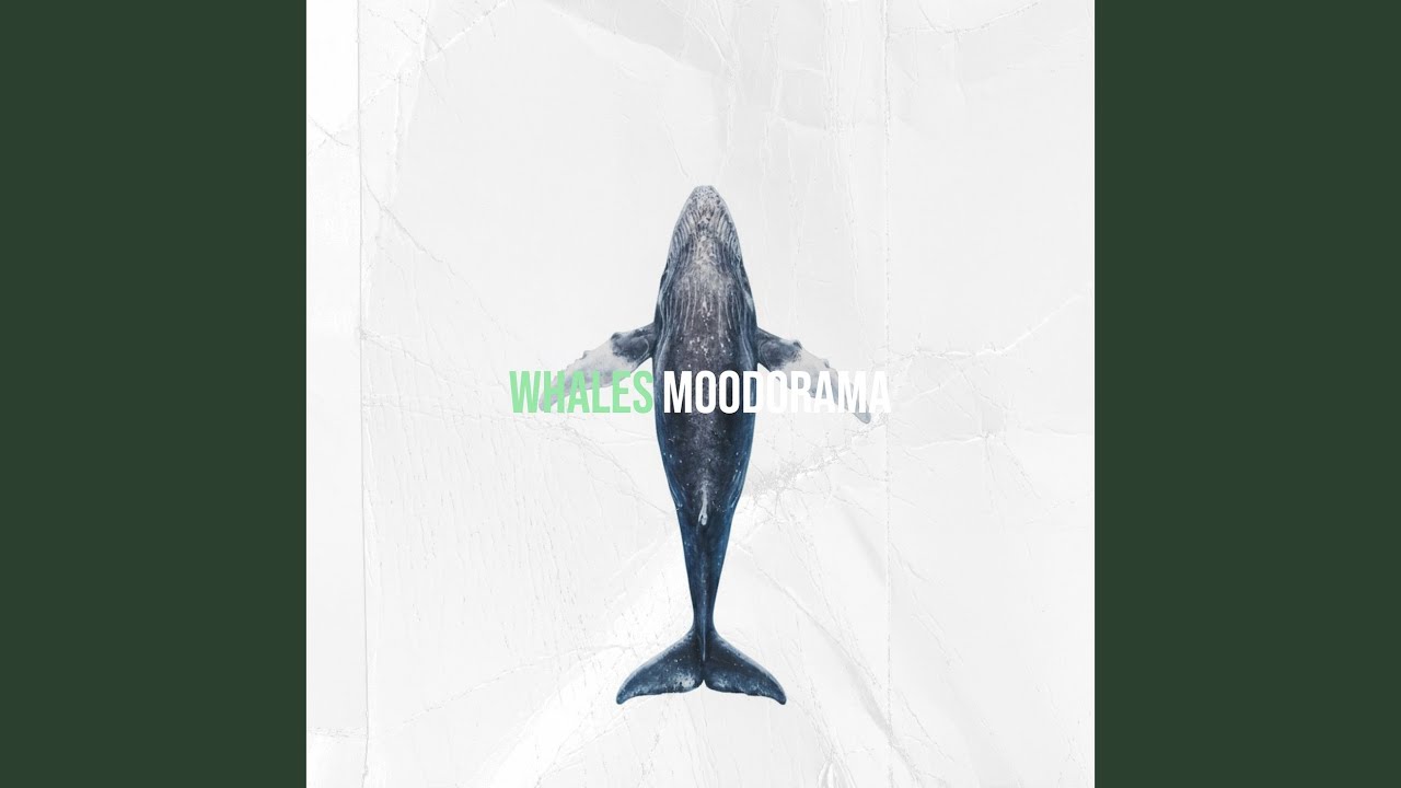 Whales
