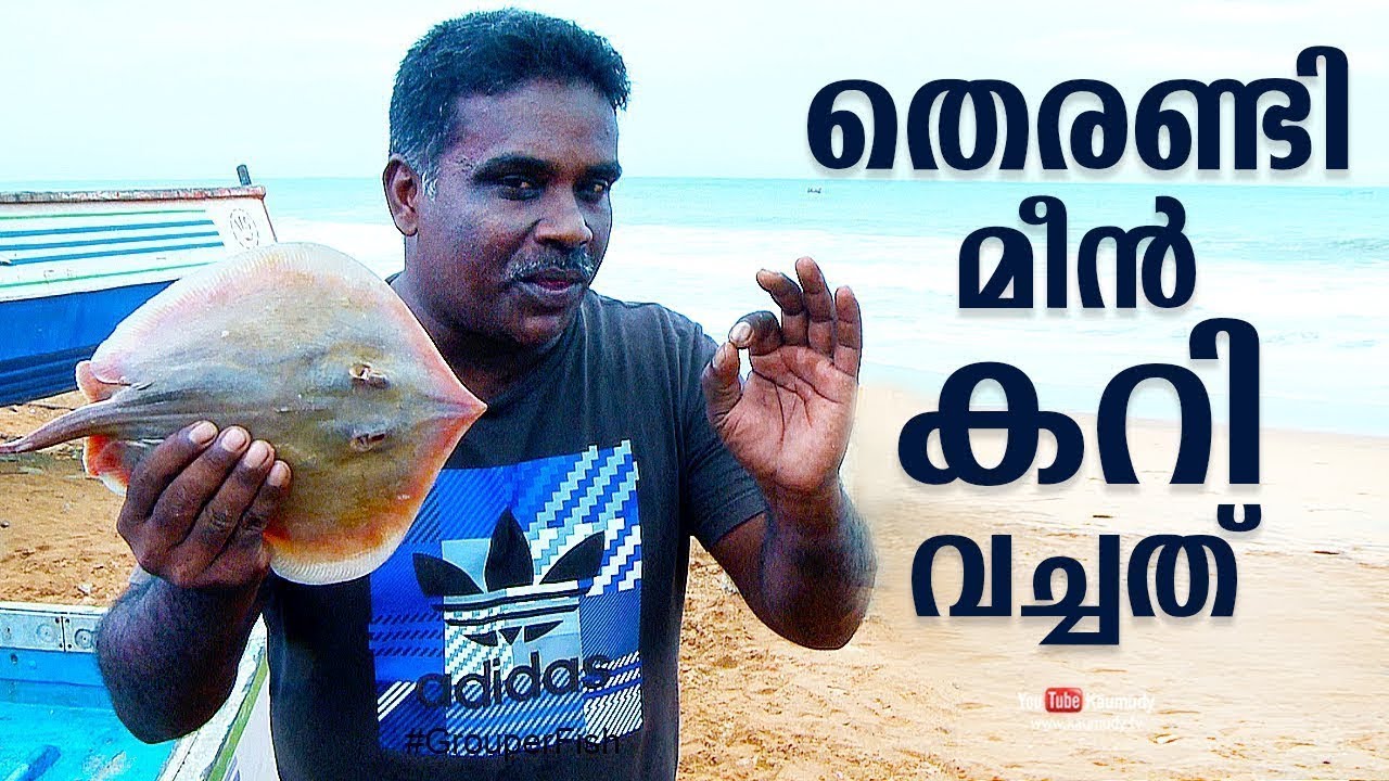 തെരണ്ടി മീൻ കറി വച്ചത് | YUMMY KERALA STINGRAY FISH CURRY RECIPE | SEA FOOD SPECIAL