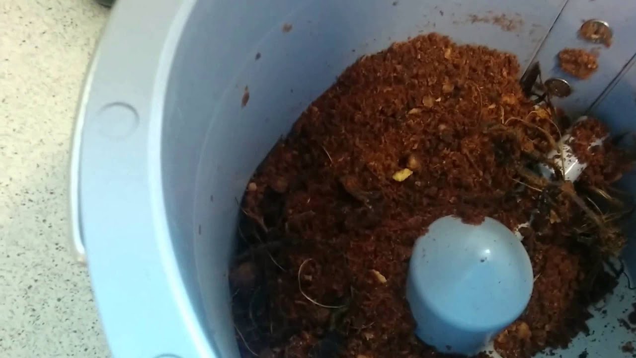 First Impressions -- Food Cycler CS-10 -- Indoor Residential Composter