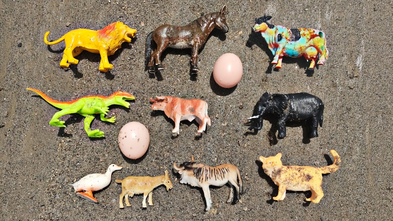 menemukan singa kucing sapi kuda gajah bebek kerbau dinosaurus bison kambing