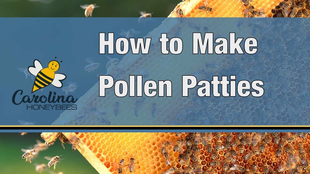How to Make Pollen Patties for Bees