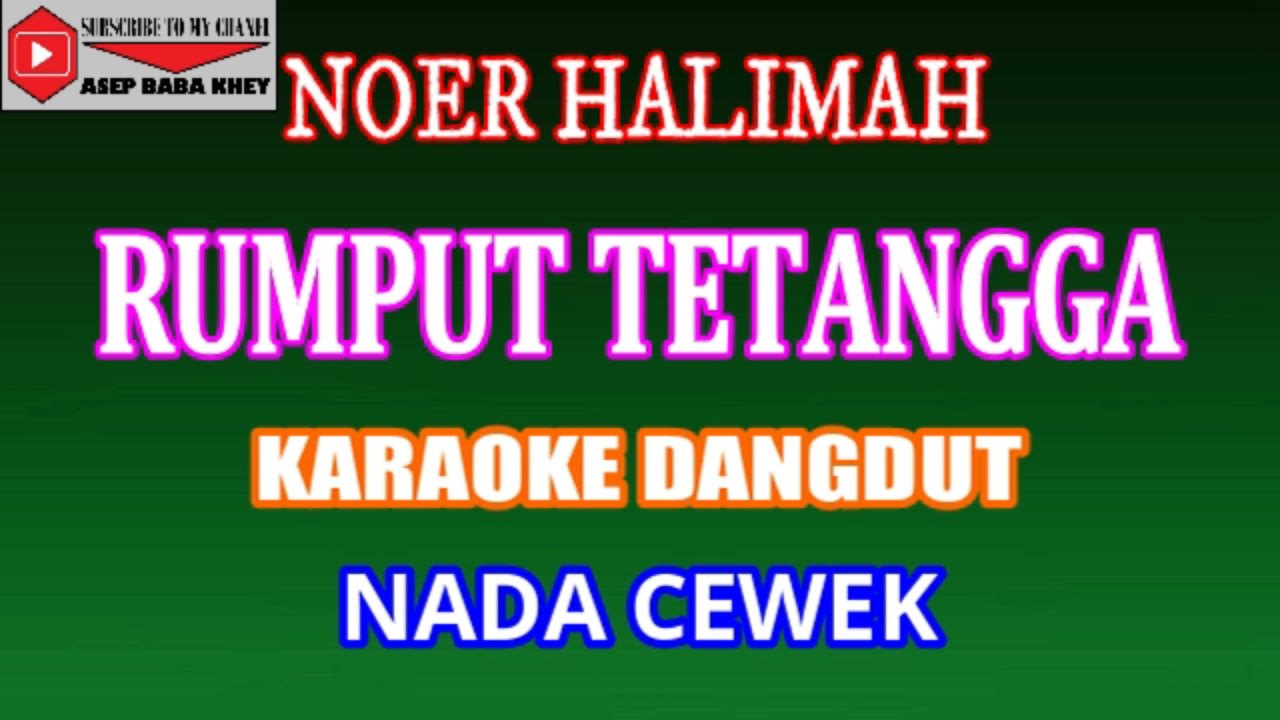 KARAOKE DANGDUT RUMPUT TETANGGA - NOER HALIMAH (COVER) NADA CEWEK
