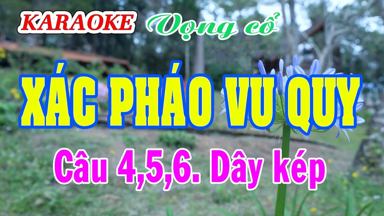 Karaoke  _ Xác Pháo Vu Quy  _ Dây Kép