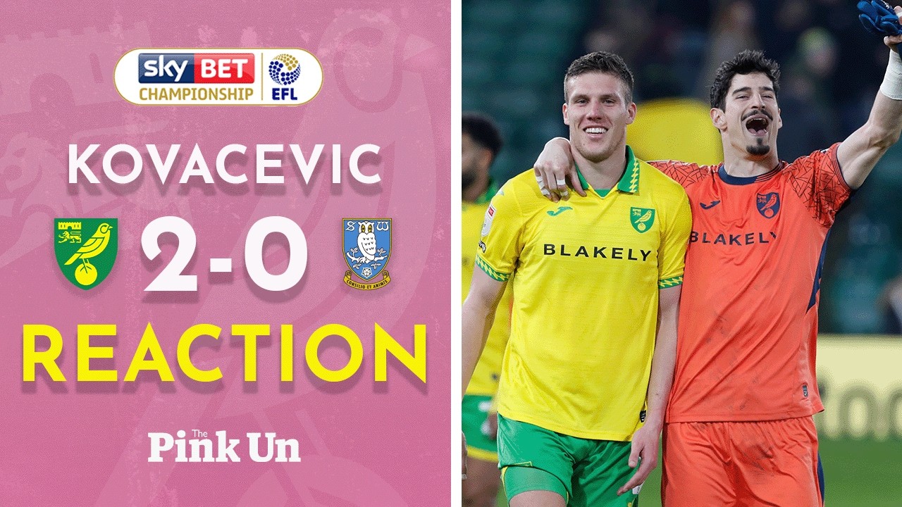 Vladan Kovacevic Reaction | Norwich City 2-0 Sheffield Wednesday | The Pink Un