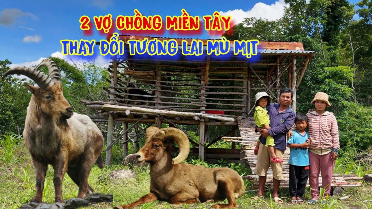TẶNG DÊ cho người nghèo, 2 vợ chồng MIỀN TÂY ở trong rừng ĐỔI ĐỜI - tập 1540