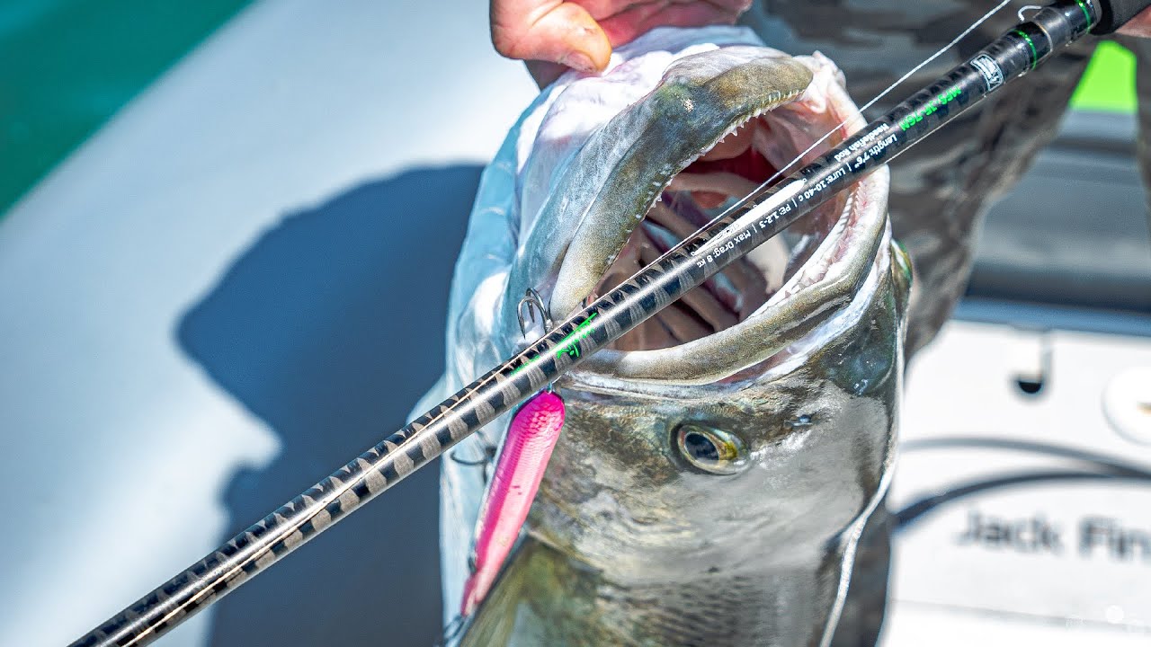 Needlefish Rod - Fioretto Speciale 76N