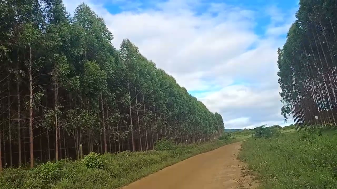 Fui conhecer o povoado do sentido no município de Planalto Bahia Aki morou Thor filho de Dodô