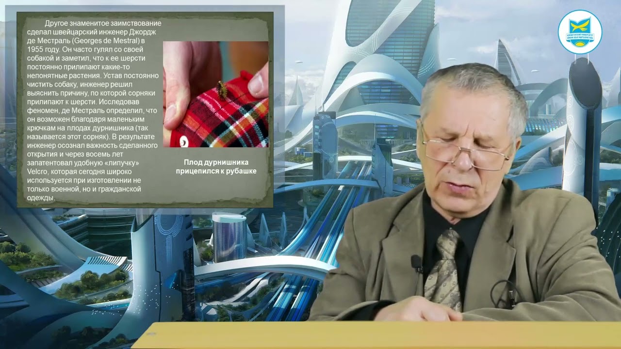 Трофимов В.П. Основы проектной графики и архитектурной бионики (ро) 2-3