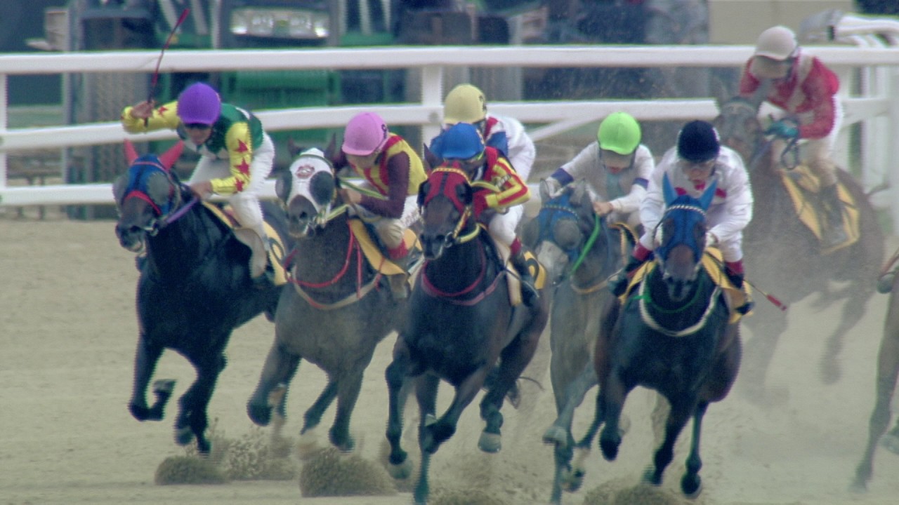 Tips for Betting on Korean Racing!