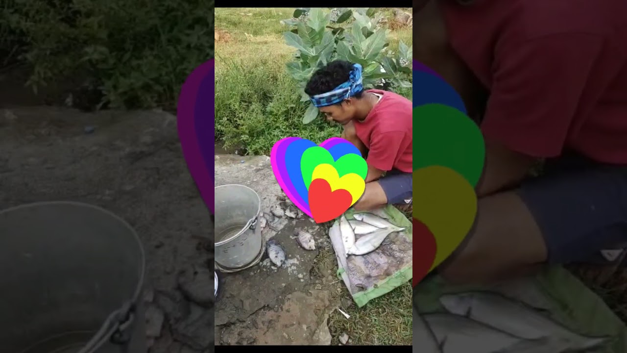 Fresh fish at low price near Meghadrigedda dam, Vizag.