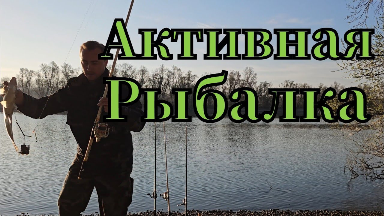 Активная рыбалка🎣 на заливе реке Рейн клюнул лещ #рыбалка #рыбка #angeln #fishing #pêche #pescа #лещ