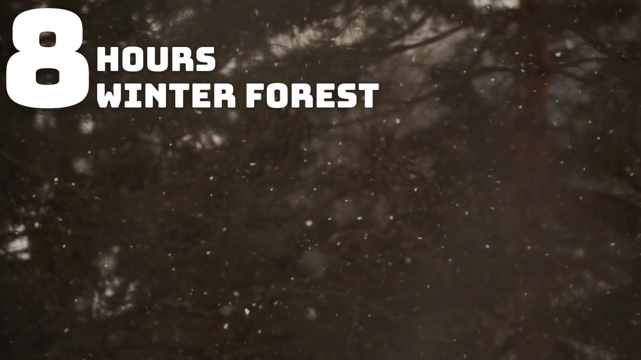 8 Hours | Winter Forest | ASMR, Sleep, Study, Meditate, Relax