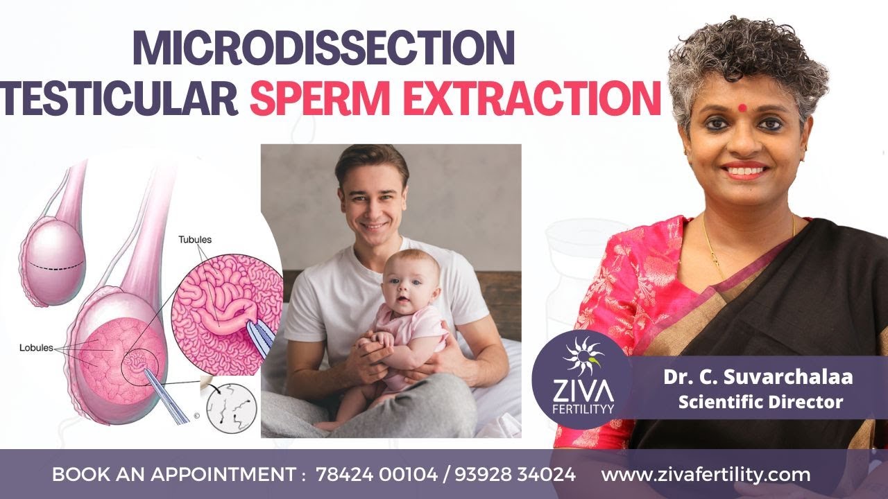 MicroTESE || Sperm Retrieval Procedure || Fertility Treatment || Dr C Suvarchala || ZIVA Fertilityy