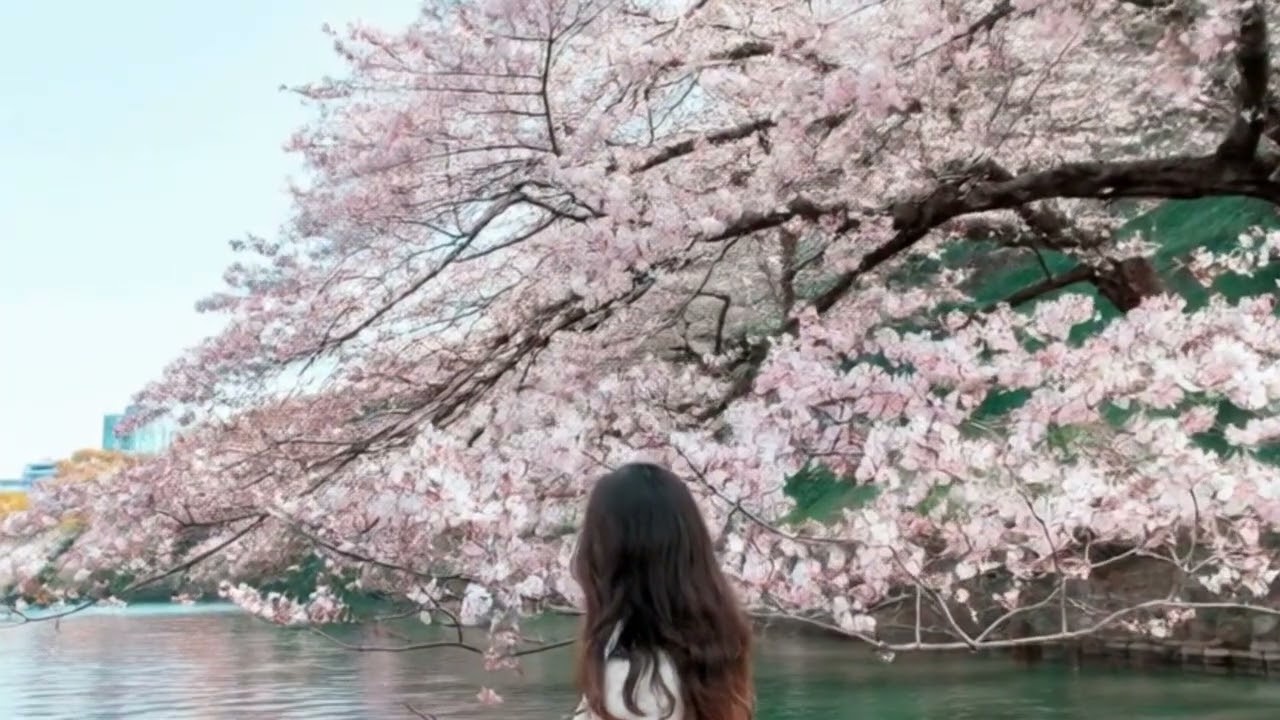 雨の記憶 (Ame no Kioku)