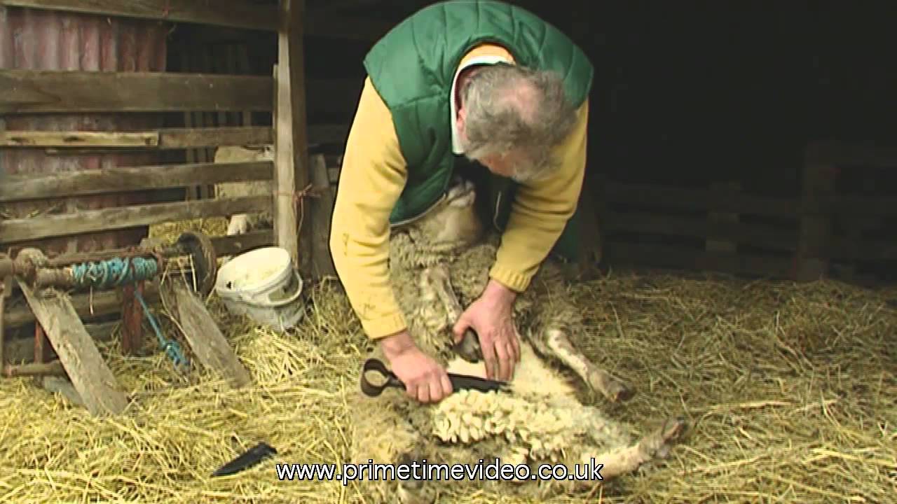 Lincolnshire farmer, Lincolnshire dialect