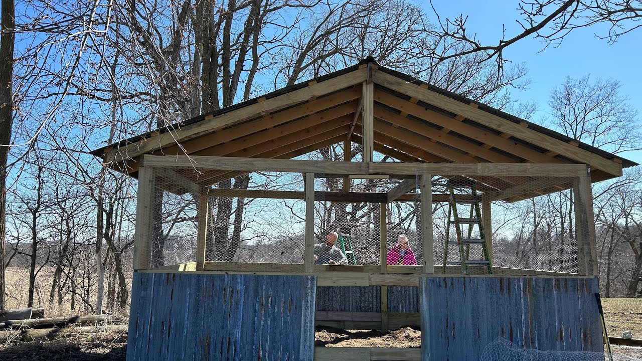 Peacock enclosure construction