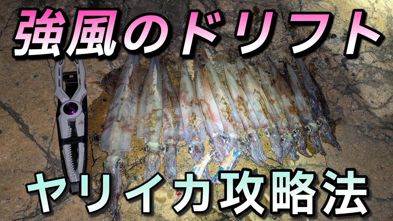 強風でも安定して釣れるヤリイカの釣り方教えます、牛タンの皮の簡単セット方法とメリットを語ります