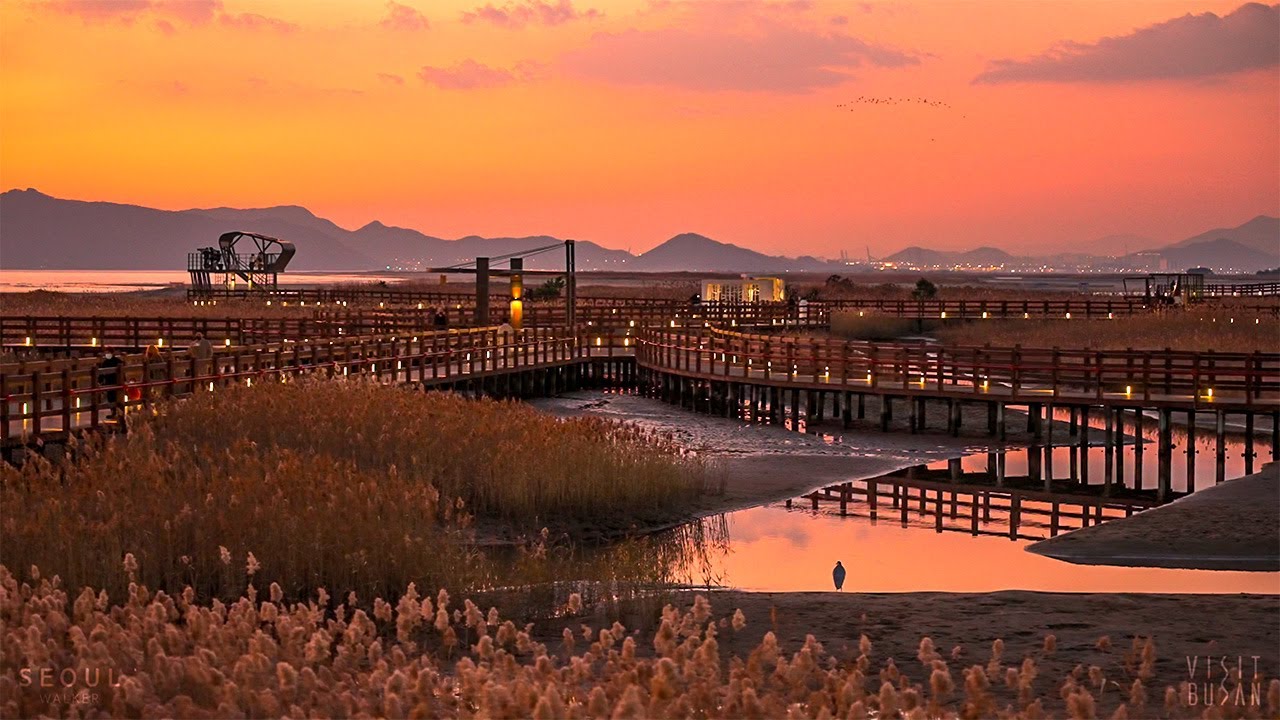 Dadaepo Beach&rsquo;s Beautiful Sunset and Ecological Trail Night Busan Seoul Walker Travel Korea 4K HDR