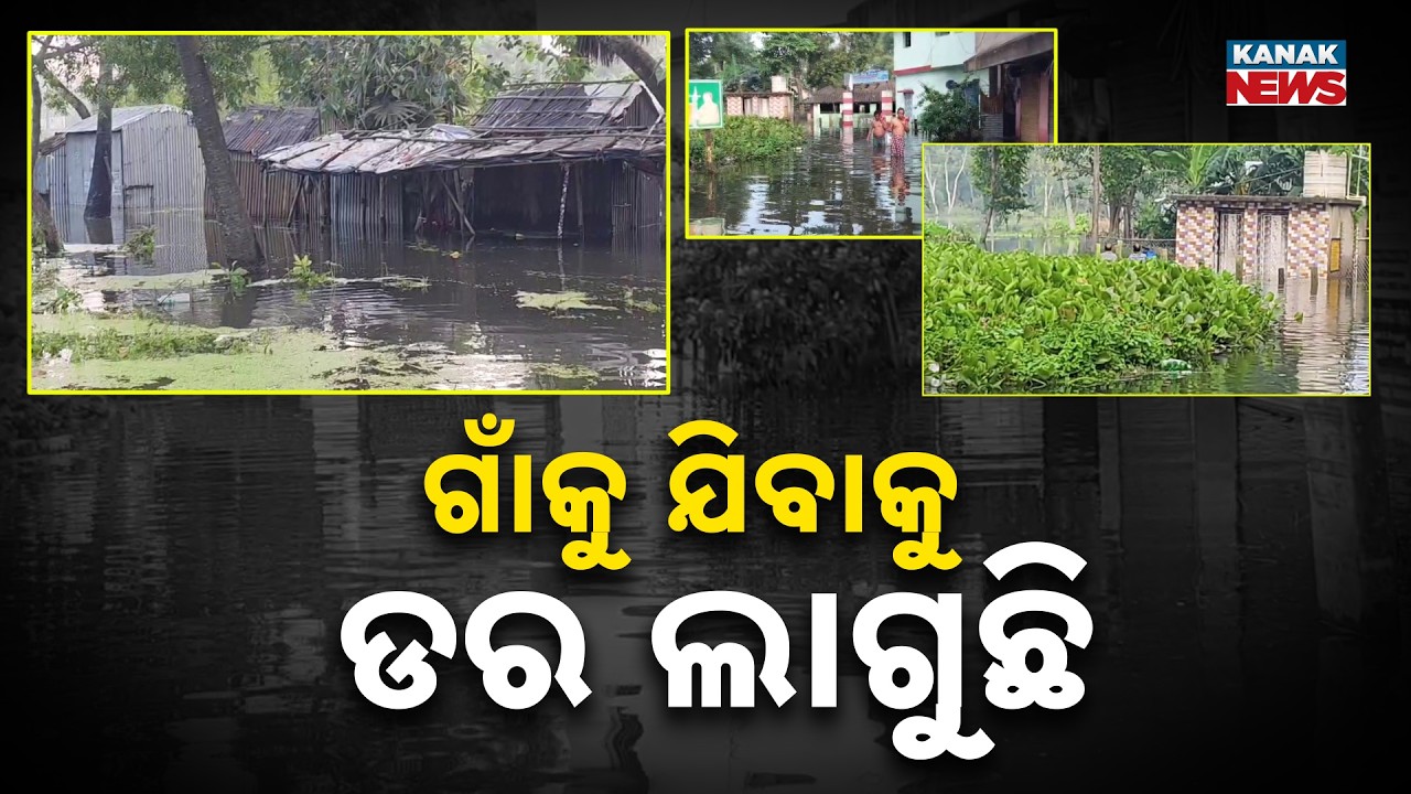 ଗାଁକୁ ଯିବାକୁ ଡର ଲାଗୁଛି | Odisha Flood Crisis | Villages Still Underwater as River Levels Recede