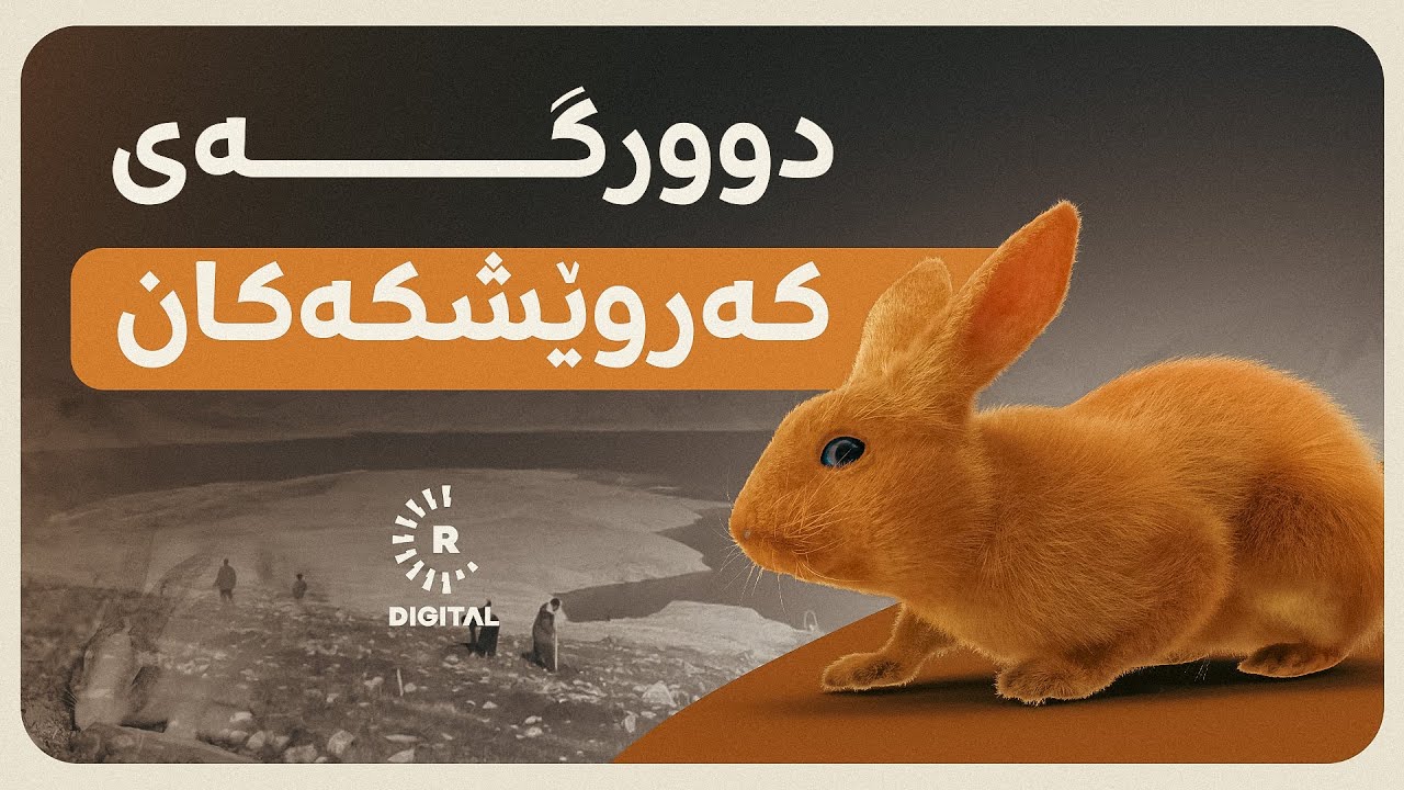 دوورگەی کەروێشکەکان لە ناوەڕاستی دەریاچەی دووکان
