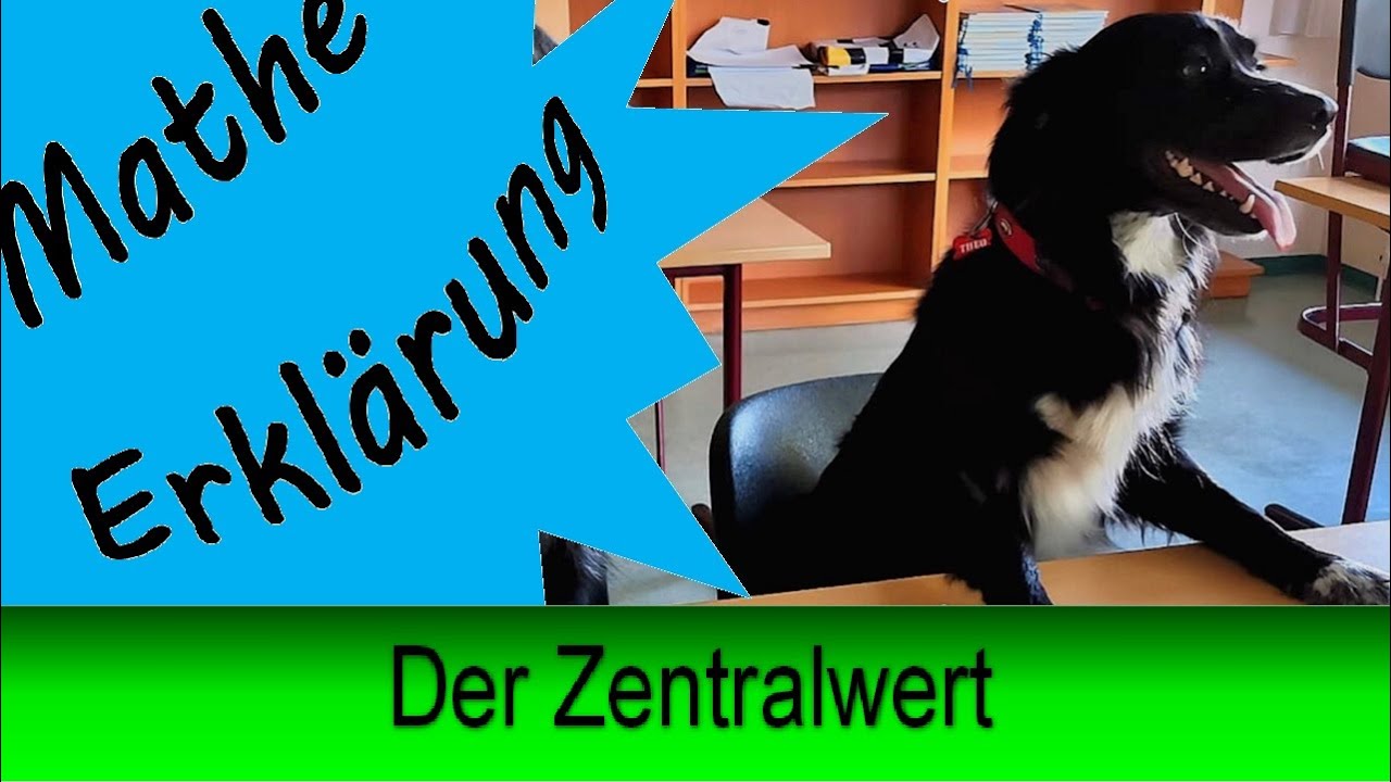 Der Zentralwert
