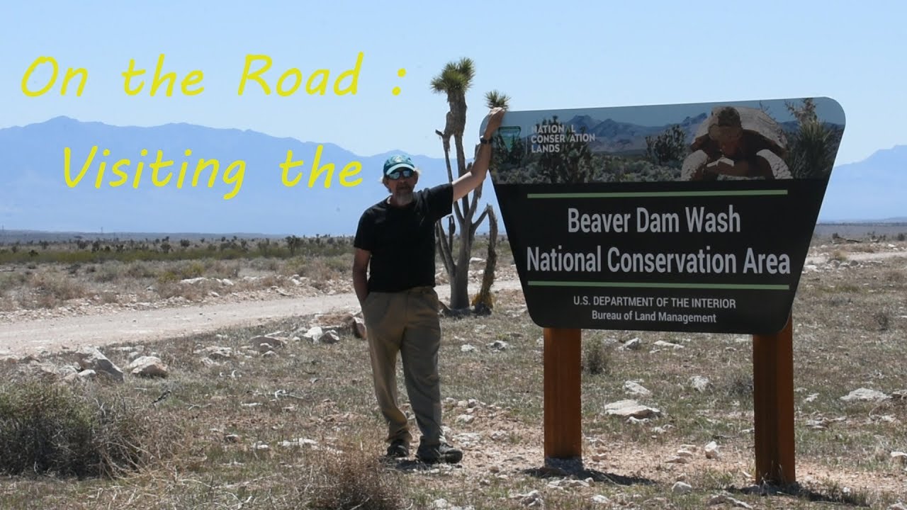 On the Road - The Beaver Dam Wash National Conservation Area