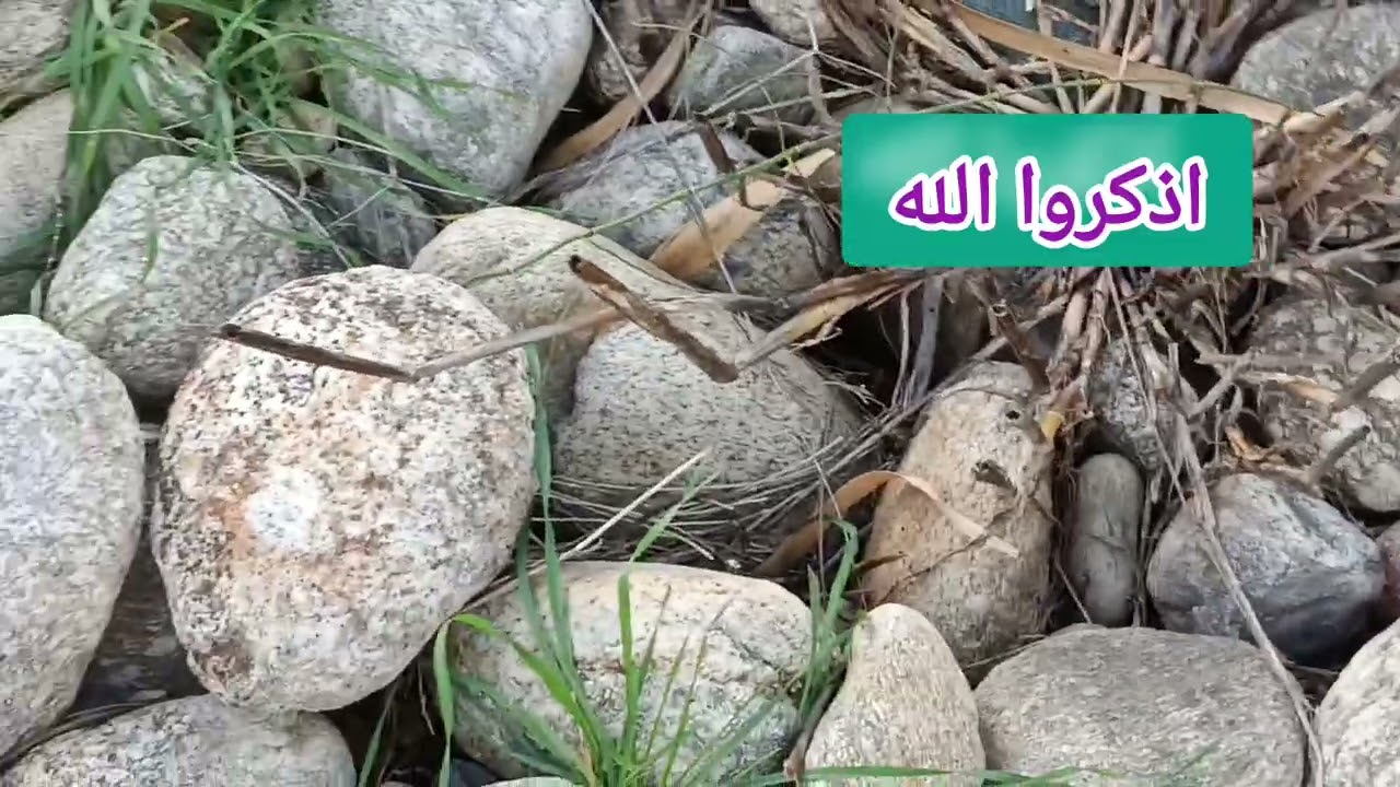 جولة💥 من 💥 جولاتي 💯 في الطبيعة