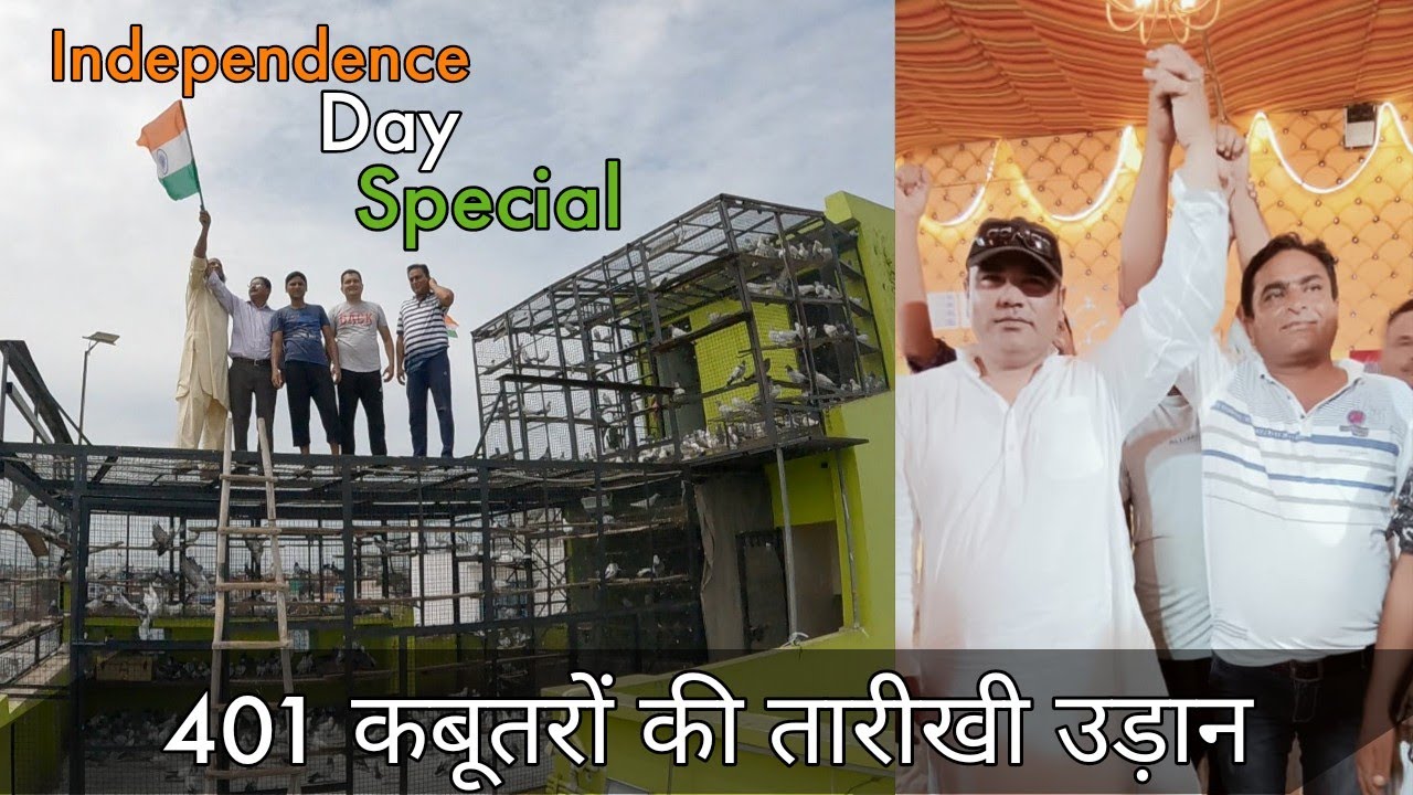 401 कबूतरों की तारीखी उड़ान | Shariq Islam ( Chaman bidi) VS Bablu Ustad @TheHomeSanctuary