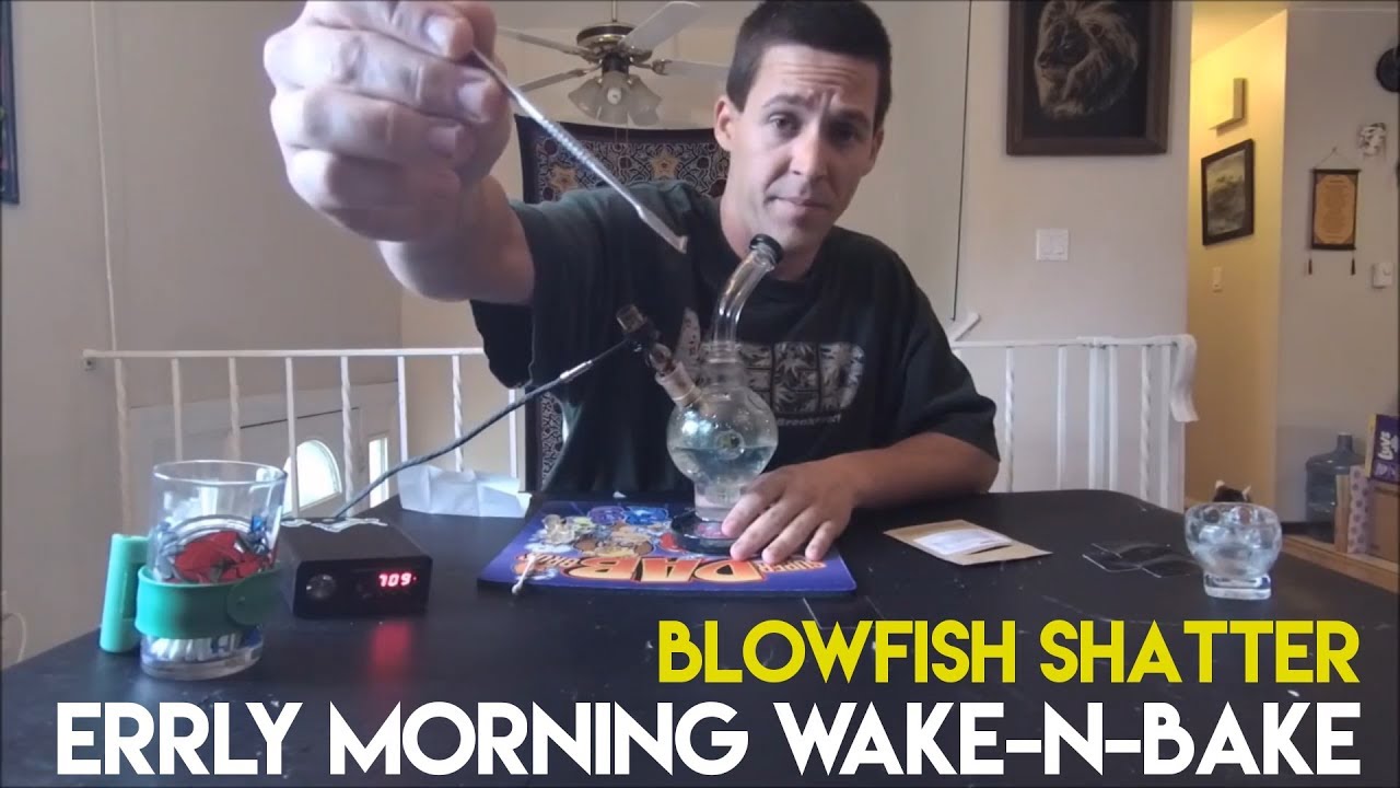 Wake'N'Bake: Blowfish Shatter from Rocky Road Remedies