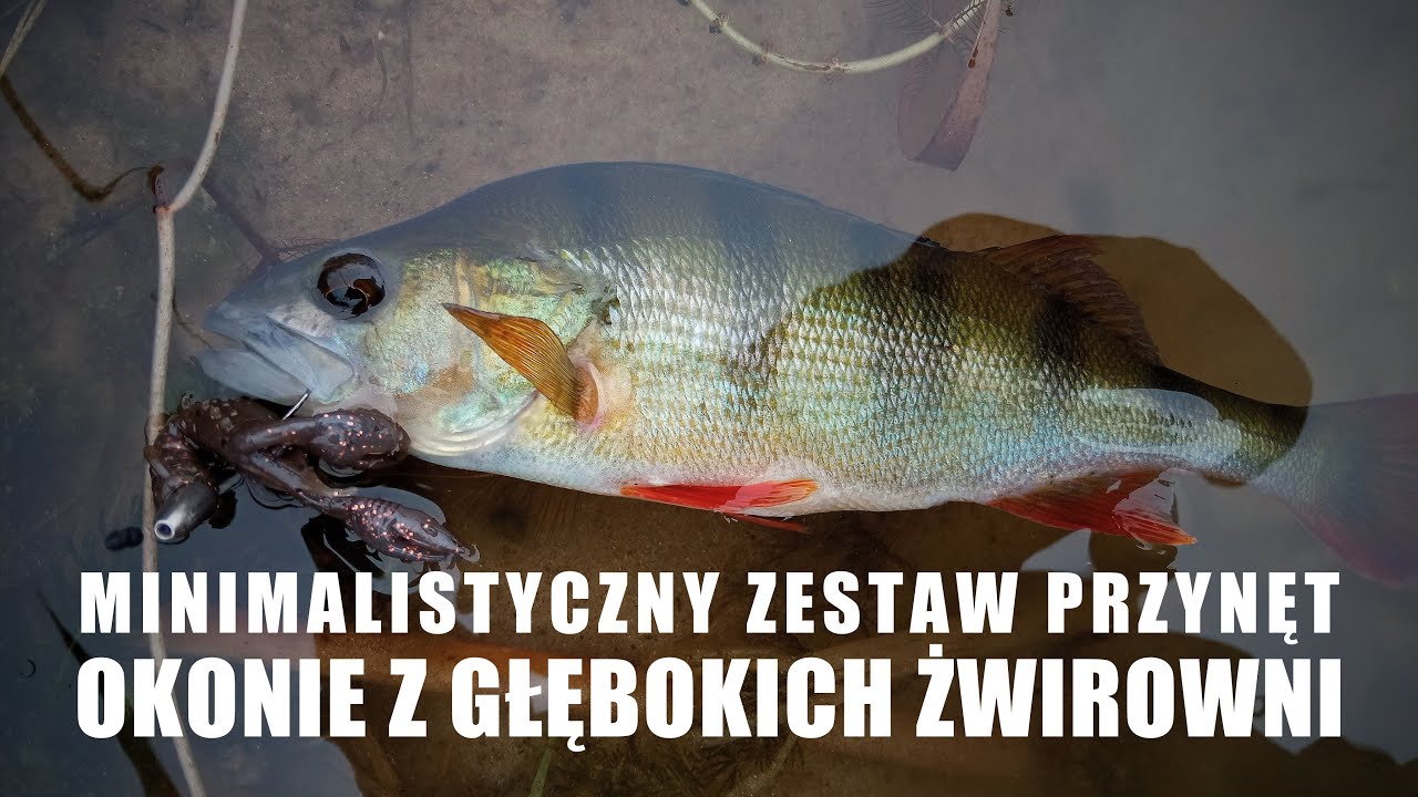 Minimalistyczny zestaw przynęt na okonie z głebokiej żwirowni