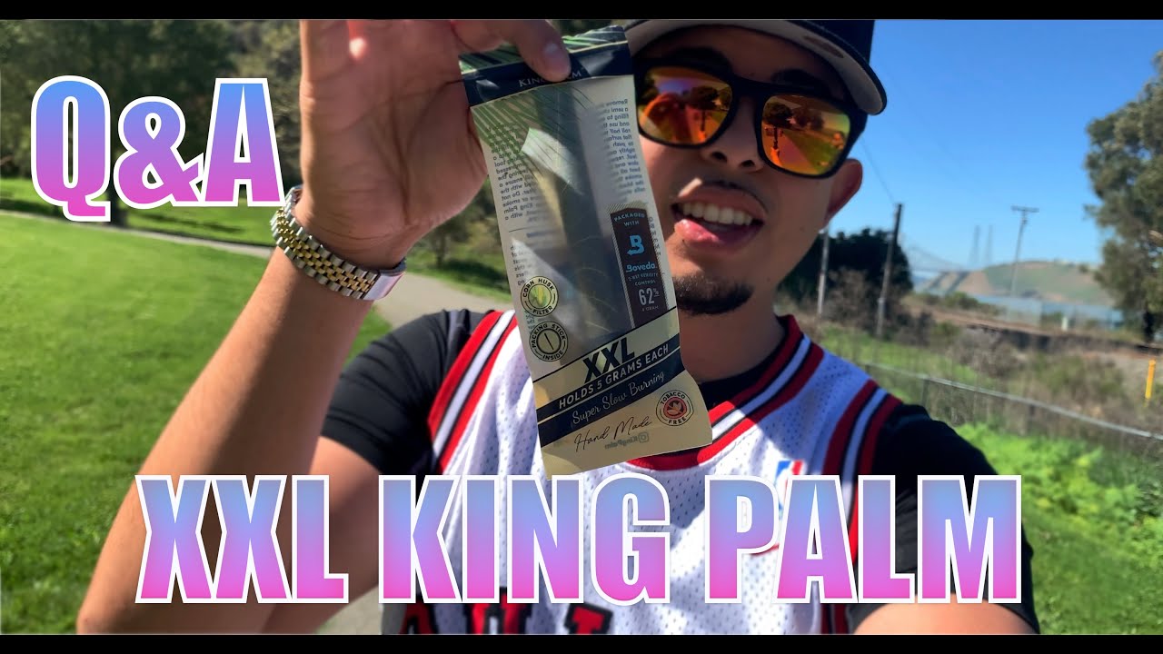 5 GRAMS IN A XXL KING PALM + Q&A