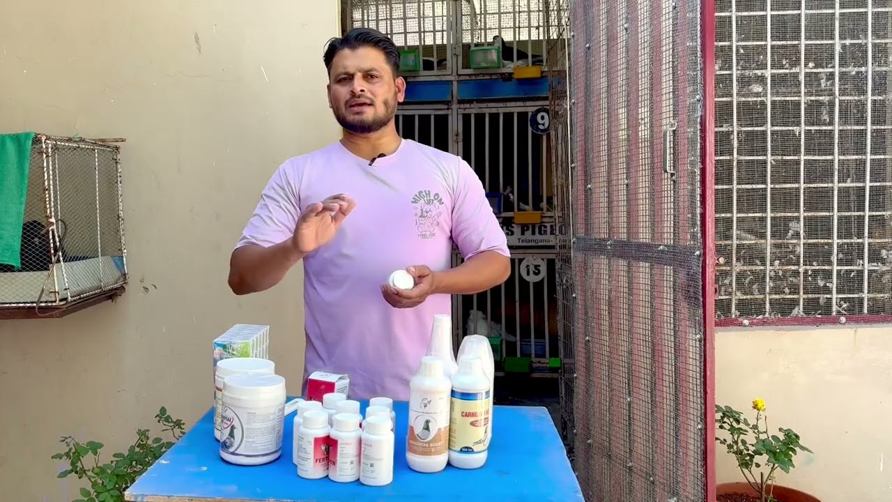 Finally Dawai Ka Parcel Receive Ho Gaya 🕊️ | Pigeon Health 