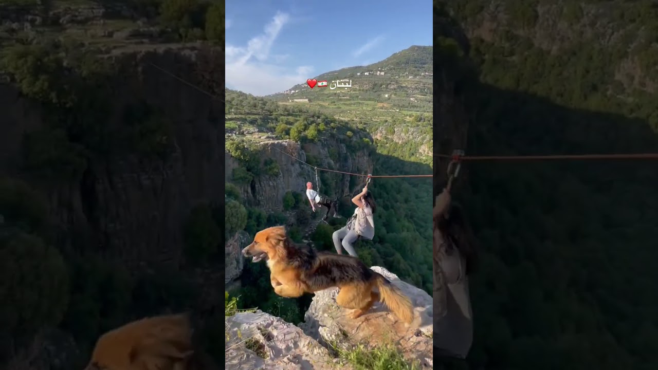تخيلوا ان دى لبنان؟ #لبنان