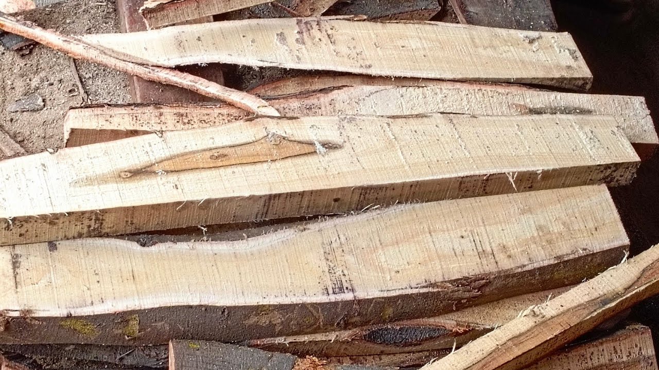 Warning: These Wood Cuts Are Addictive to Watch! | WoodWorkshop2