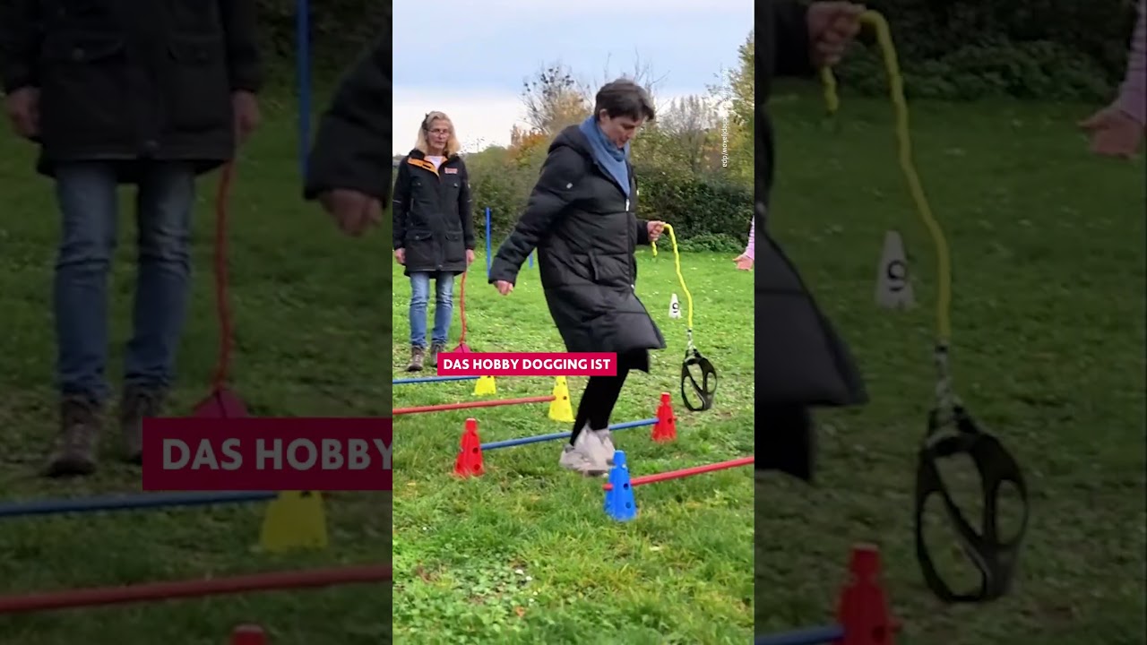 Was steckt hinter Hobby Dogging? #hobbydogging #dogs #hunde #tier #nachrichten #news