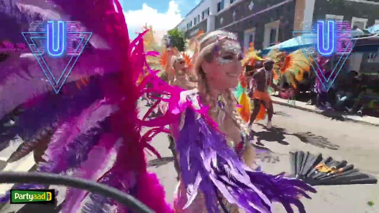 #CarnivalVibes on De Road #caribbean #carnival #DominicaCarnival2025