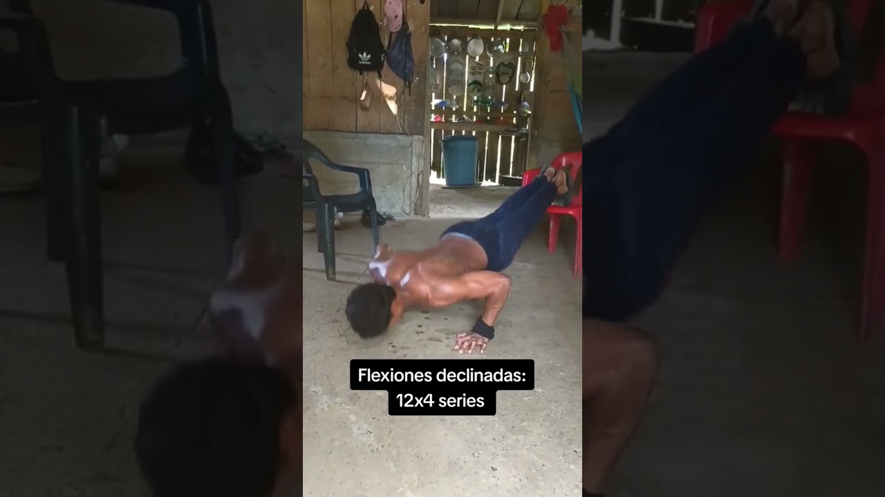 Rutina de calistenia en casa 🔥 💪 #calisthenics #ejercicio