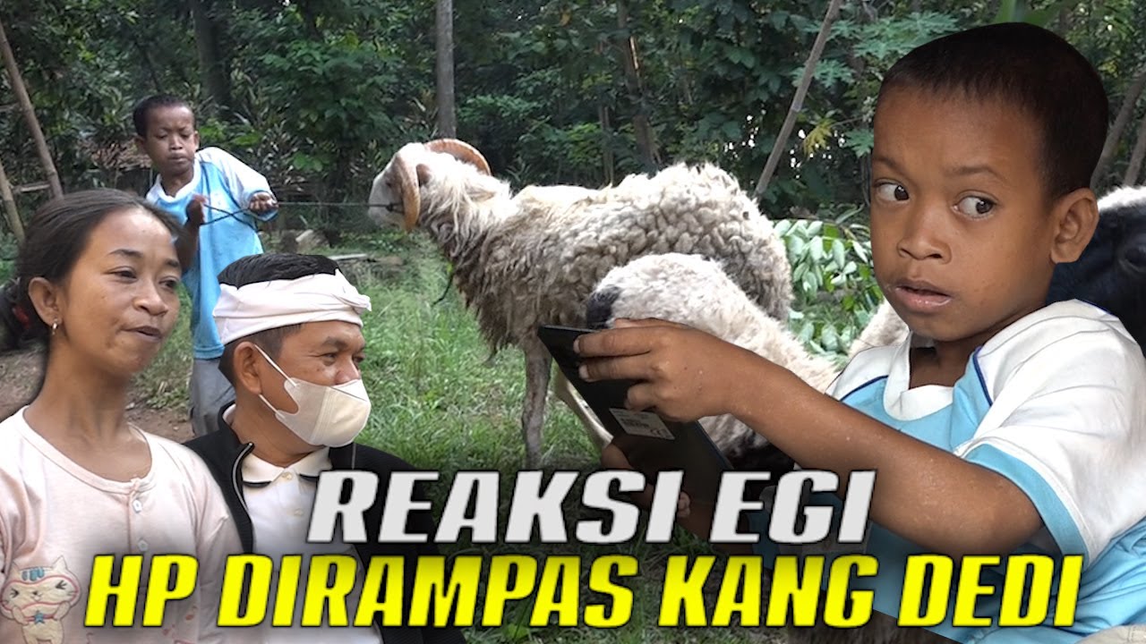 KANG DEDI RAMPAS HP EGI SAAT MAIN GAME DI POS RONDA DAN MENGGANTINYA DGN 3 EKOR DOMBA