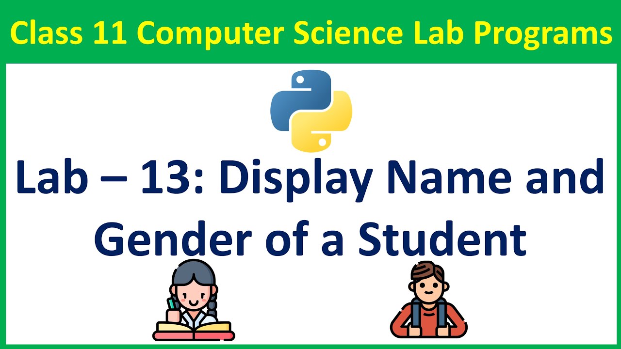 write a program to display name and gender using function in python | Vision Academy