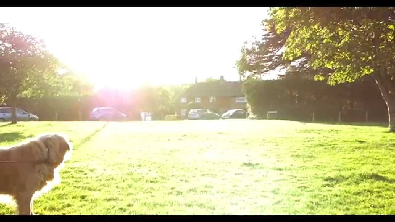 Frances - Grow (Unofficial Video)