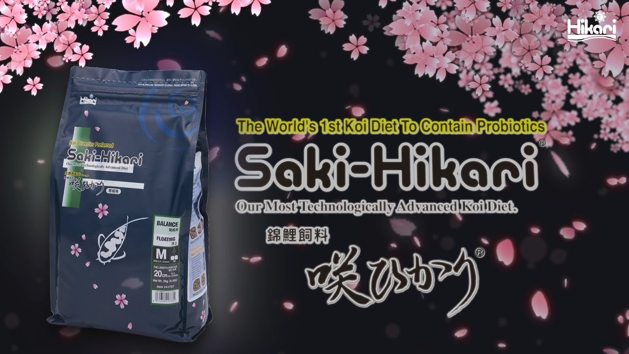 Saki-Hikari｜Promotion Movie【Kyorin,Hikari】