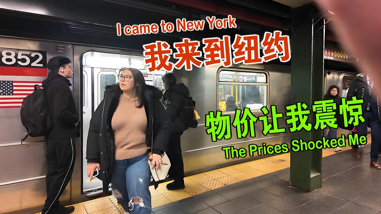 我来到纽约 美国物价最夸张的城市 保姆级攻略 维森来了