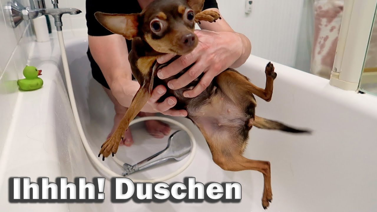 Badetag - Baylee Bee macht Trocken-Schwimmen