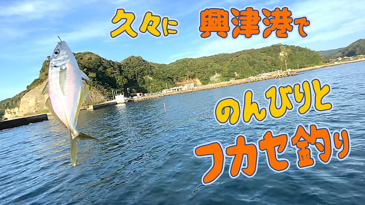 久々に興津港でのんびりとフカセ釣り-活性高かったね