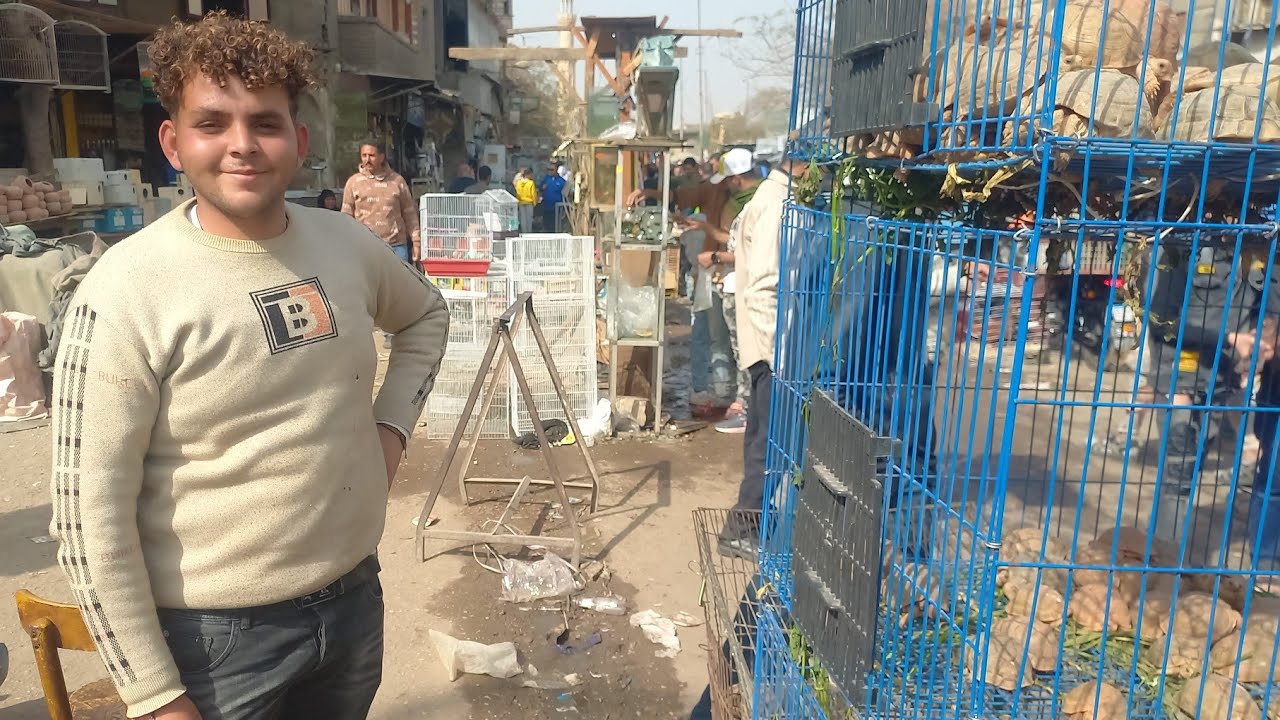 اسعار السلاحف بجميع احجمها بسوق الجمعة⁉️ارخص سعر للفلارس عند ابو اسلام💯العروض يوم الجمعة والاحد فقط💚