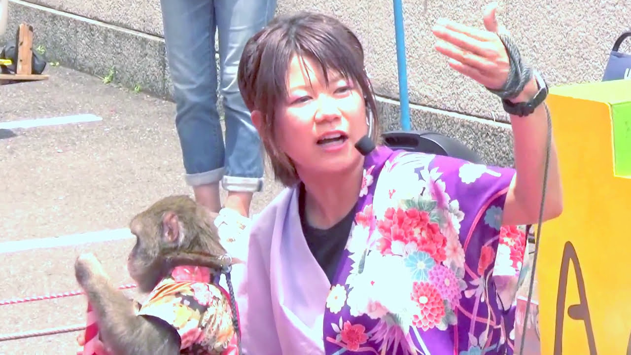 #猿  #さるまわし #あんみつ　あんみつ　神戸モンキーズ