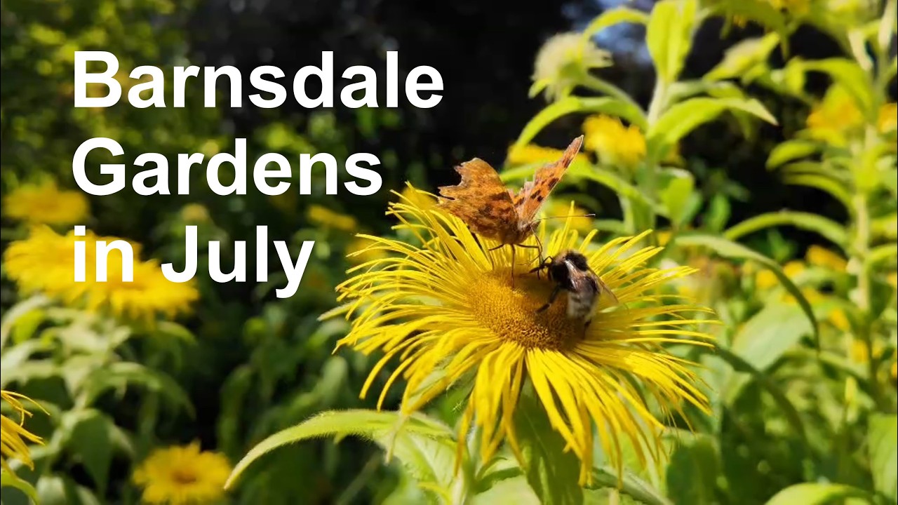 Barnsdale Gardens in July - former home of Gardeners' World