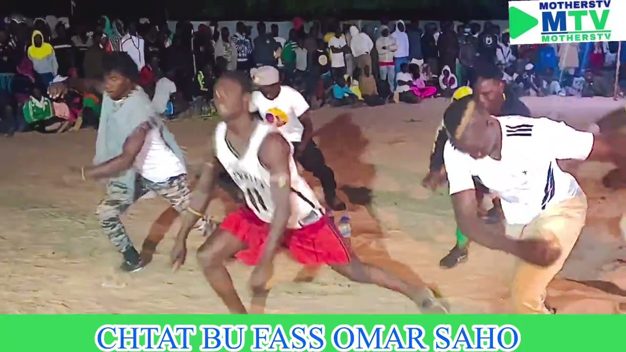 Chat bu Fass omar SAHO 