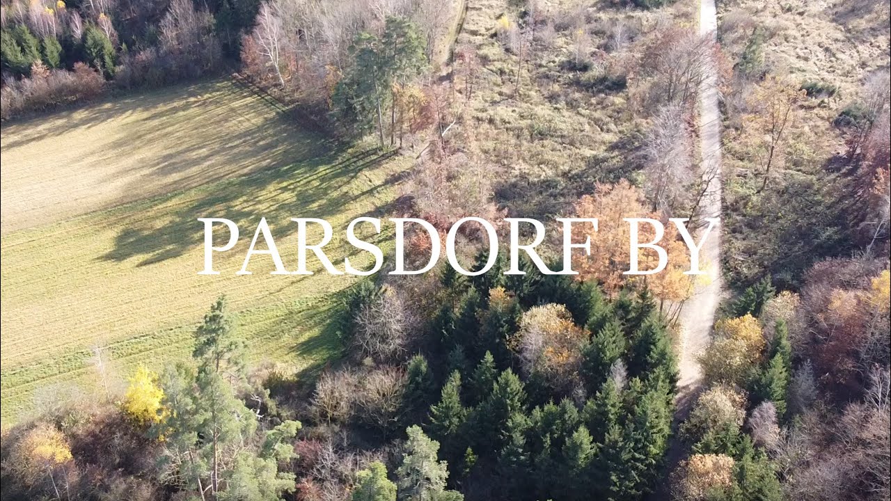 a beautiful forest | Cinematic (PARSDORF BY)